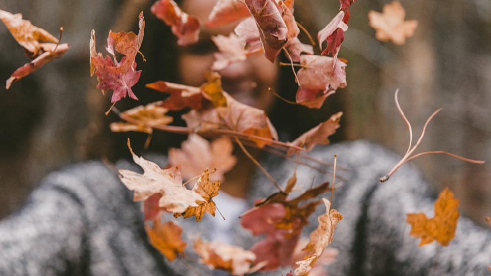 Person som kastar höstlöv i luften.