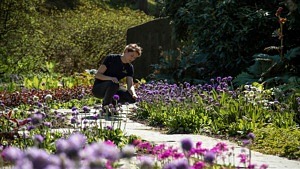 Sara Bratt vid rabatt