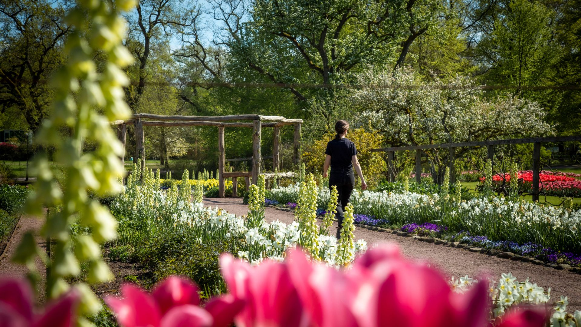 Sara Bratt i Margaretas Blomsterträdgård