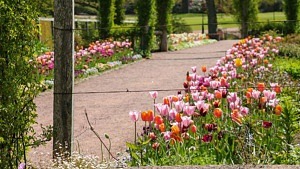 Margaretas Blomstergata på Sofiero