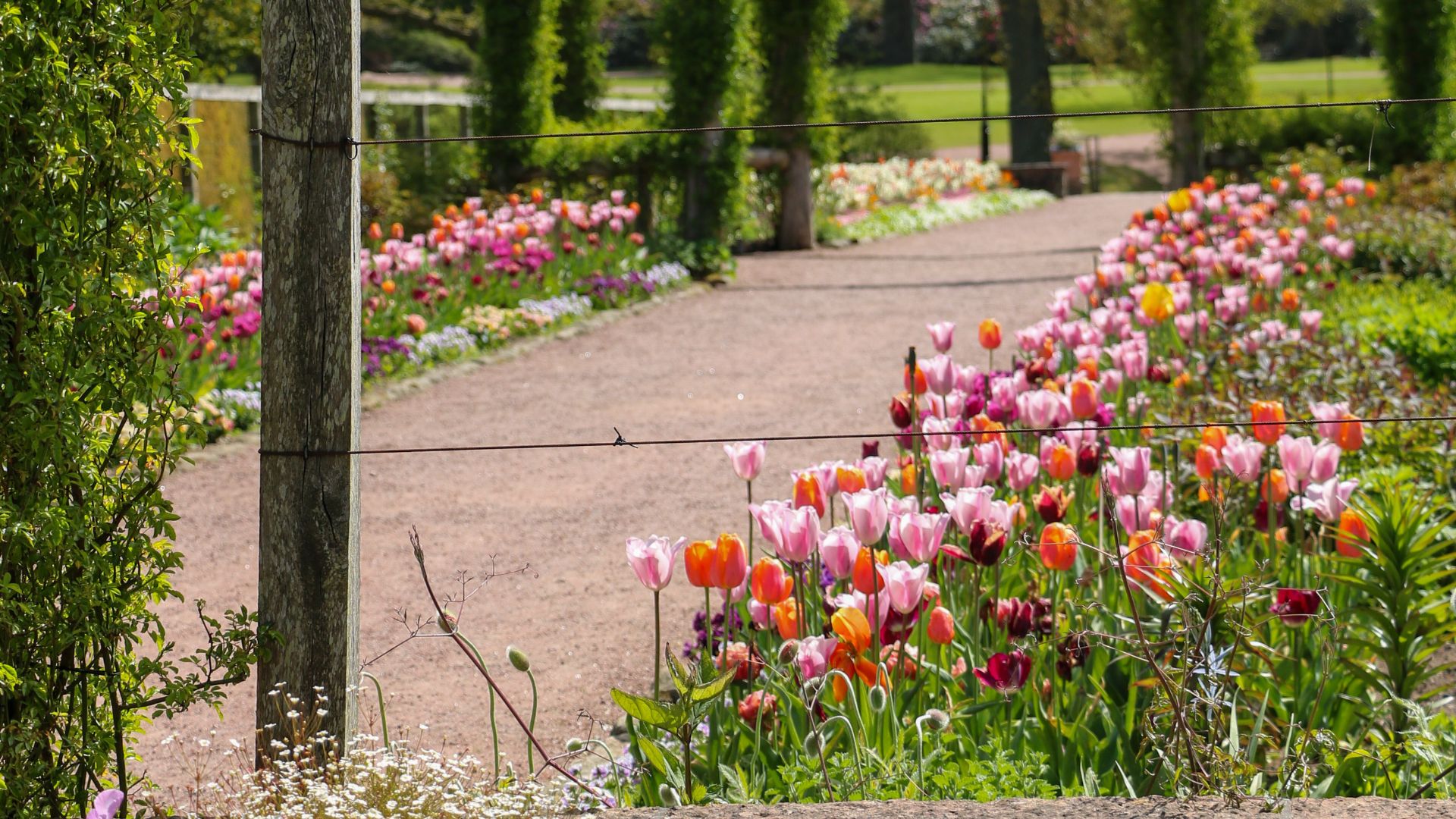 Margaretas Blomstergata på Sofiero