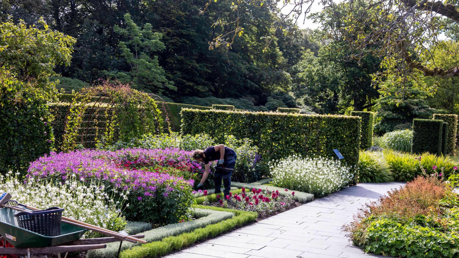 jubileumsträdgården- på Sofiero